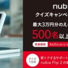 えらべるPay 最大30,000円分