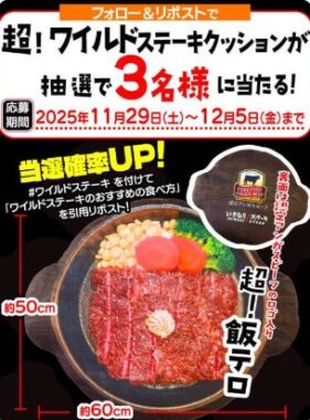 ワイルドステーキBIGクッションが当たるXキャンペーン