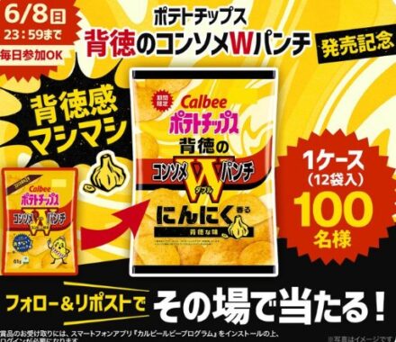 ポテトチップス 背徳のコンソメWパンチが100名様に当たるXキャンペーン