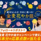 キャンペーンで使用できる6缶分の応募点数