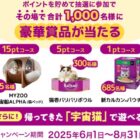 猫用ベッド / 猫壱バリバリボウル / 新カルカン パウチ