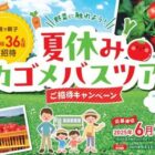 カゴメバスツアー招待券
