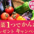 モランボンの「野菜１つでかんたん」シリーズセットが当たるプレゼント懸賞