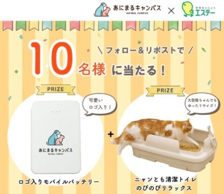 オリジナルモバイルバッテリー＆ニャンとも清潔トイレ