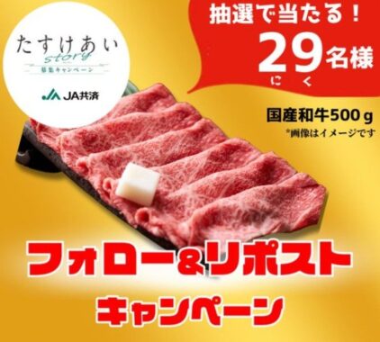 国産和牛 500g