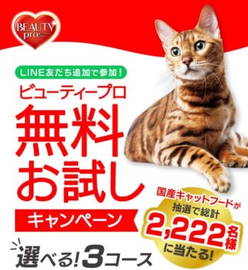 ビューティープロ キャットWケアが無料お試しできるLINEキャンペーン
