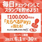 えらべるPay 最大100,000円分
