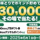 JTBトラベルギフト 3万円分 / デジタルポイント 最大5,000円分 / オリジナルトートバッグ