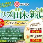 オリーブの苗木や新漬けが当たるタケサン商品購入キャンペーン