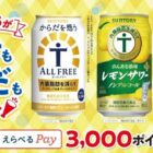 えらべるPay 3,000円分 / チェーン商品券など