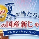 夏の国産新じゃがやカルビー夏ポテトが当たるアプリキャンペーン