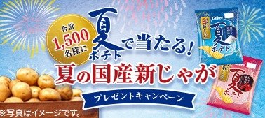 夏の国産新じゃがやカルビー夏ポテトが当たるアプリキャンペーン