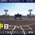 阪神タイガースの観戦チケットが50名様に当たるLINEキャンペーン
