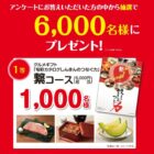 伊藤沙莉クリアファイル / カタログギフト