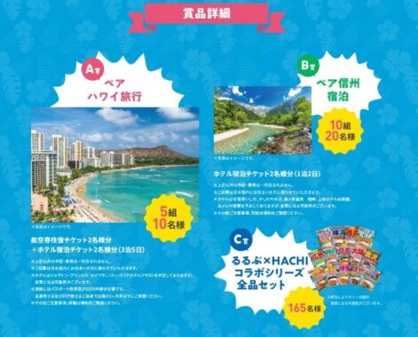 ハワイ旅行や信州旅行も当たるハチ食品の豪華プレゼントキャンペーン