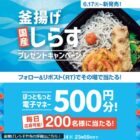 ほっともっと電子マネー 500円分