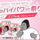 ゴリラのひとつかみ