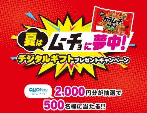 2,000円分のQUOカードPayが当たる日清のクローズド&写真投稿キャンペーン