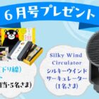 サービスエリアのお土産セットなど