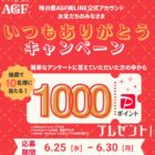 PayPayポイント1,000ポイントが当たるLINEアンケートキャンペーン