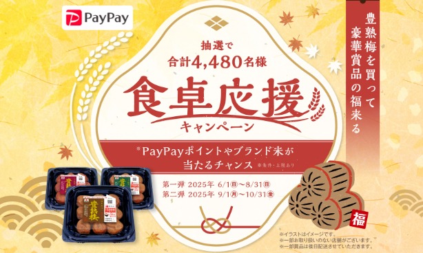 PayPayポイントやブランド米がその場で当たる中田食品のクローズド懸賞