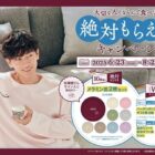 佐藤健サイン入りメラミン皿 / 星野リゾート宿泊ギフト 5万円分 / ハーゲンダッツギフト券