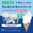 アイスボン×BIG BABY ICE CREAMコラボアイテムがその場で当たるXキャンペーン