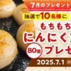 もちもち皮のにんにく丸餃子 商品モニター