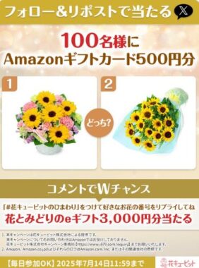 100名様にAmazonギフトカード500円分が当たるXキャンペーン