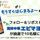 海鮮中華エビマヨソース