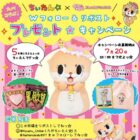 沖縄のお菓子セット＆ちぃたんグッズが当たる毎日応募Xキャンペーン