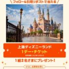 上海ディズニーラン 1デー・チケット