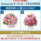Amazonギフトカード 500円分