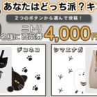ニトリ商品券4,000円分が50名様に当たる毎日応募Xキャンペーン