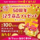 ポテトチップス感謝のほたてしお味 1ケース