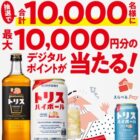 えらべるPay 最大10,000円分