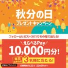 えらべるPay 10,000円分