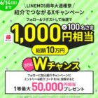 PayPayポイント 1,000円相当