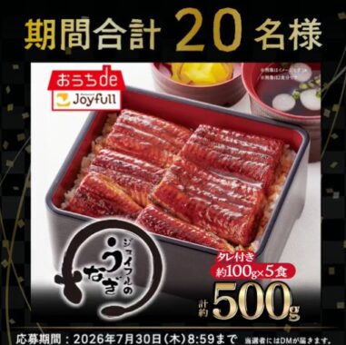 うなぎの蒲焼 5食入り