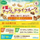 JCBギフトカード 5,000円分 / えらべるPay 5,000円分 / QUOカードPay 5,000円分 他