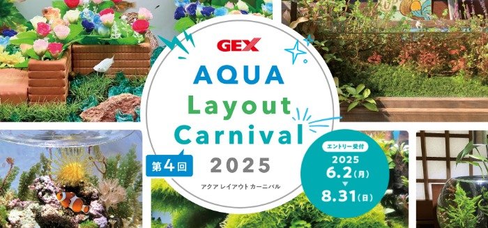 最大賞金50,000円ももらえるアクアリウム レイアウトコンテストキャンペーン