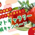 カゴメ商品詰め合わせが当たるカゴメのトマトギャラリー投稿キャンペーン