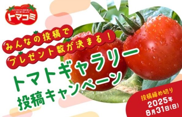 カゴメ商品詰め合わせが当たるカゴメのトマトギャラリー投稿キャンペーン