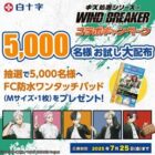 FC防水ワンタッチパッドお試しサンプル