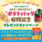 ポテトチップスうすしお味 1ケース