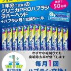 ハブラシ 1年分