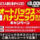 えらべるPay 1,000円分