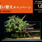1,000円分のデジタルギフトが当たるジェックスの水槽買い替えキャンペーン
