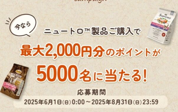 最大2,000円分のえらべるPayが当たる大量当選キャンペーン