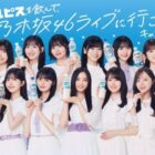 乃木坂46アクスタ / PayPayポイント 100ポイント